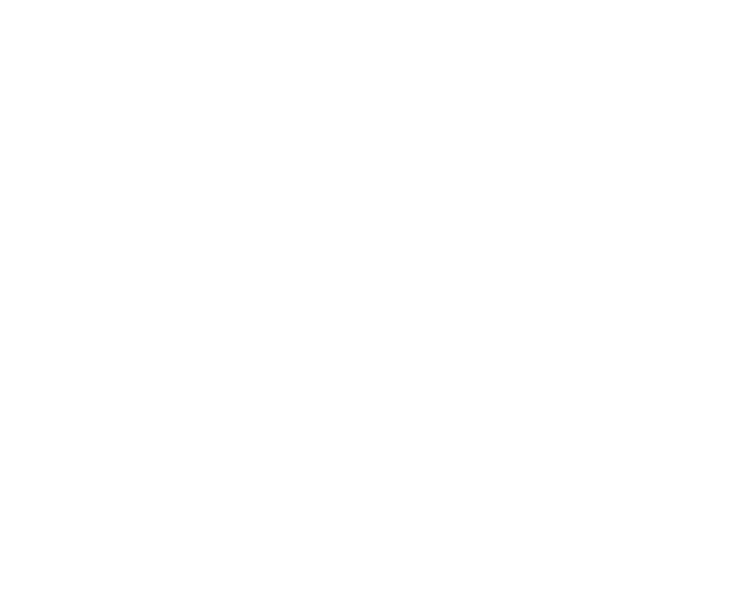 Offizielles Logo der BaumWerker Leipzig Weißes Logo der BaumWerker Leipzig mit stilisiertem Haus und Baum